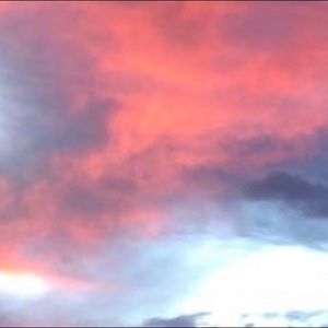 Meet your Posher, Natasha